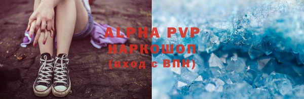 эйфоретик Алзамай