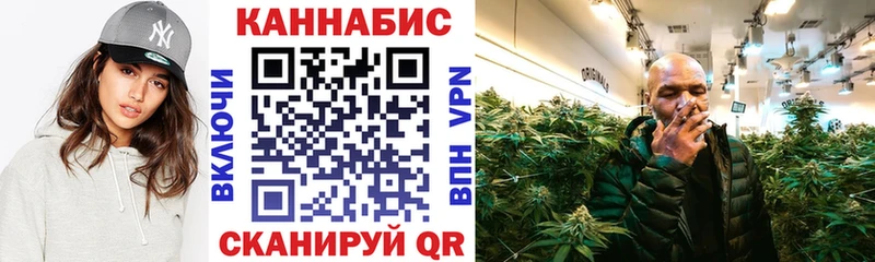 Конопля планчик  Бологое 